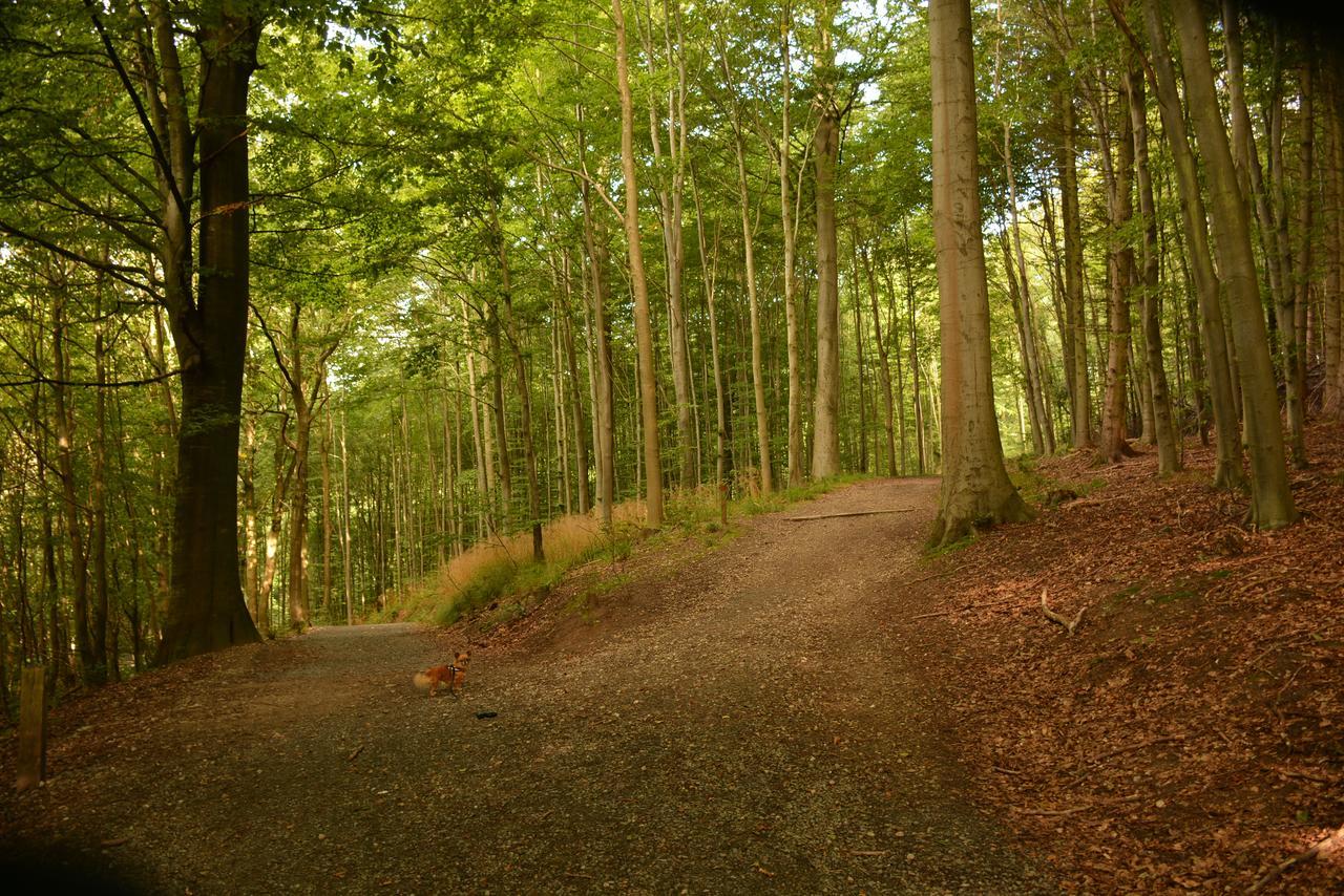 Vejle City Camping Екстериор снимка